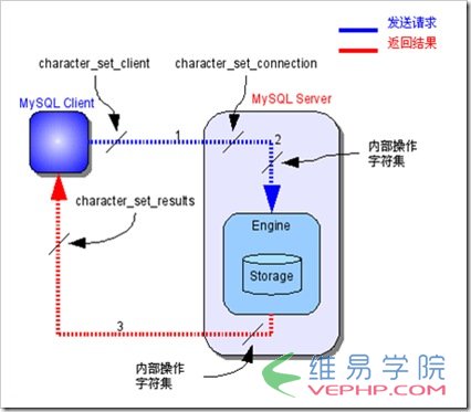 Mysql必读深入Mysql字符集设置[精华结合]