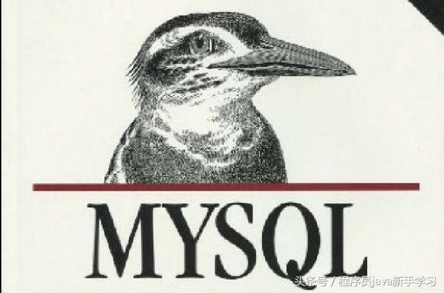 MySQL 选择数据库