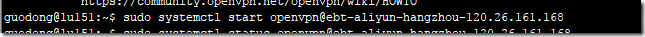 LINUX教程：Ubuntu 16.04上用sytemd启动OpenVPN Client的正确方式
