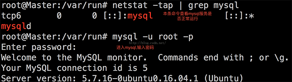 MYSQL数据库ubuntu16.04.1下 mysql安装和卸载图文教程